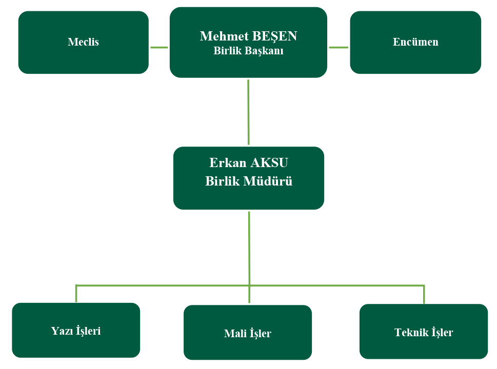 Teşkilat Şeması